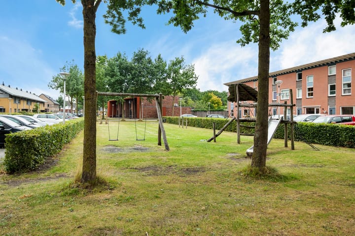 Foto 39 van Kolibrievlinder 28