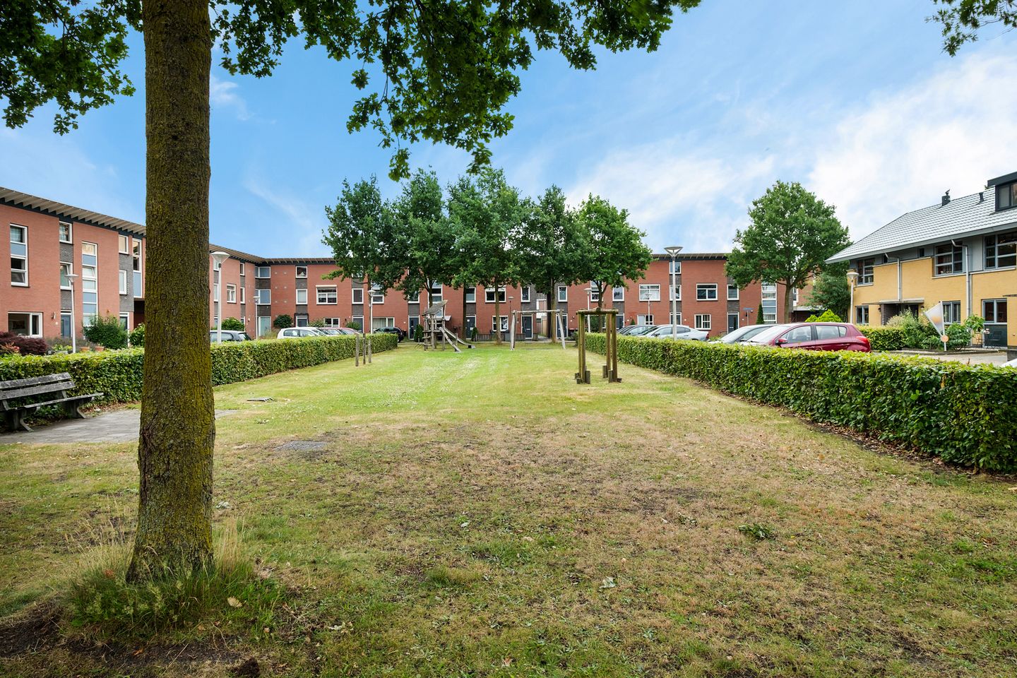 Foto 40 van Kolibrievlinder 28