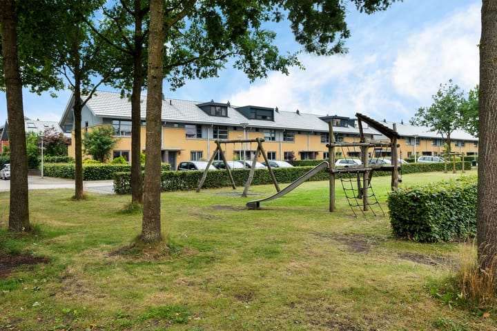 Foto 41 van Kolibrievlinder 28