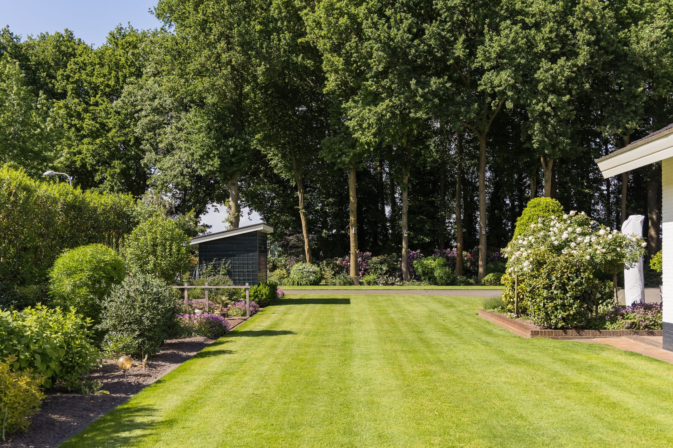 Foto 6 van Molenesch 26