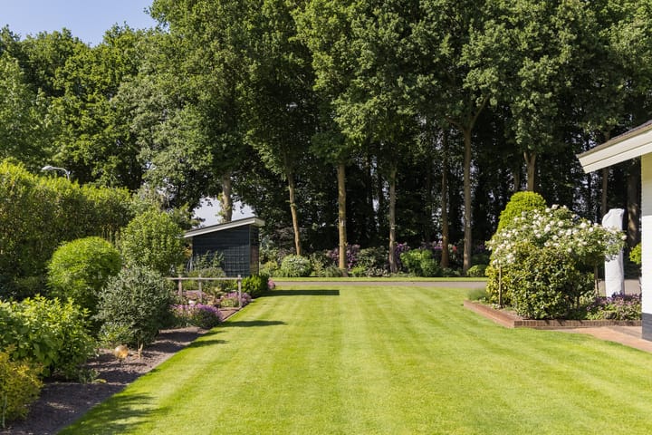 Foto 6 van Molenesch 26