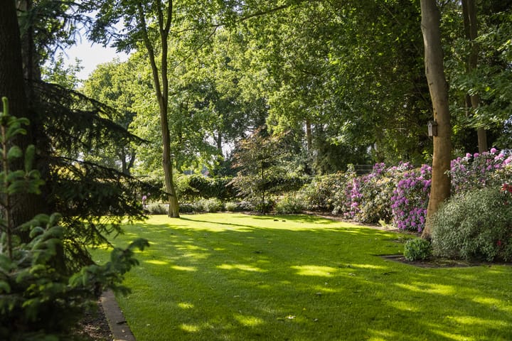 Foto 54 van Molenesch 26