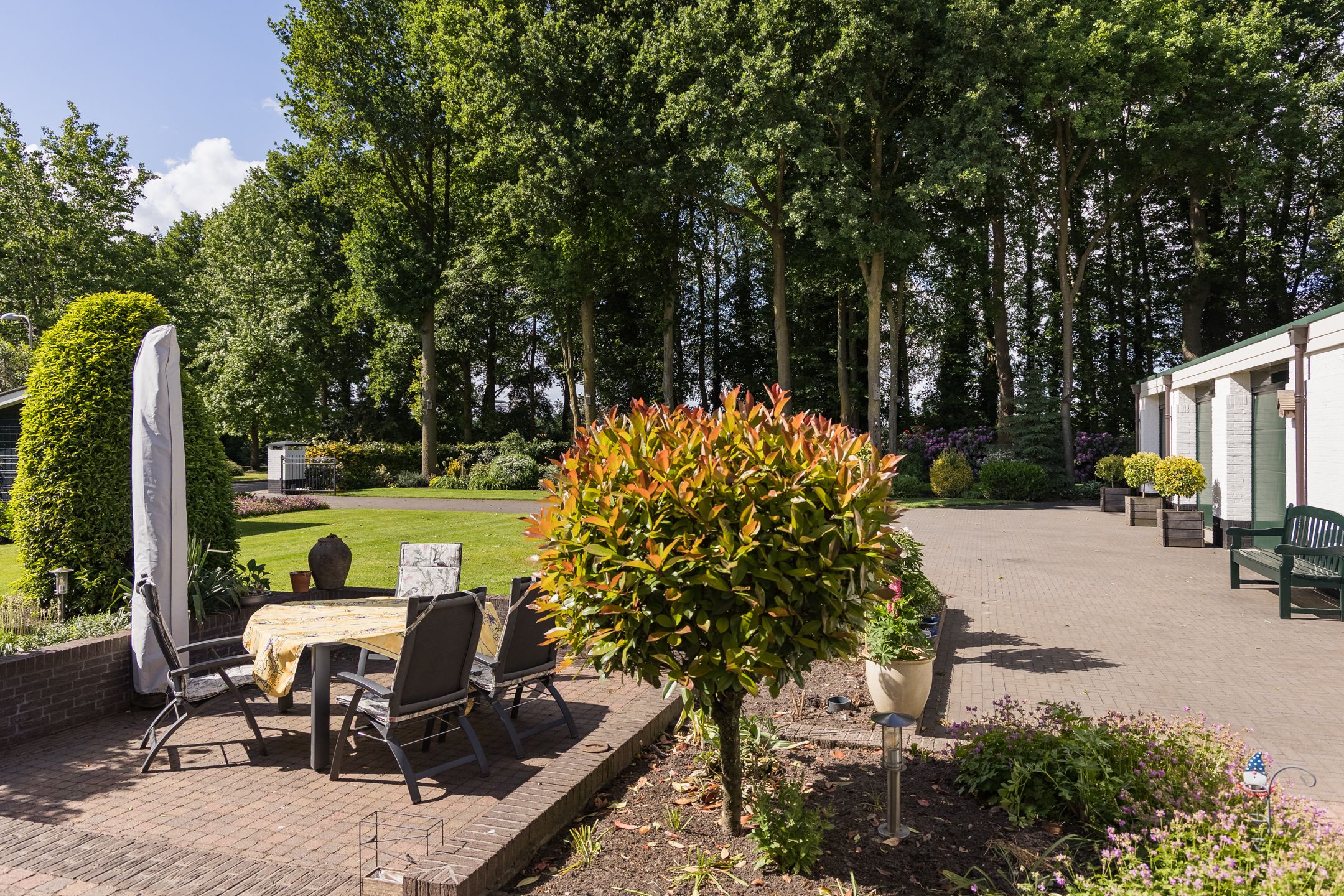 Photo 57 of Molenesch 26