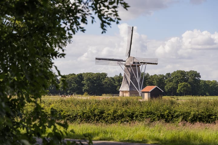 Foto 61 van Molenesch 26