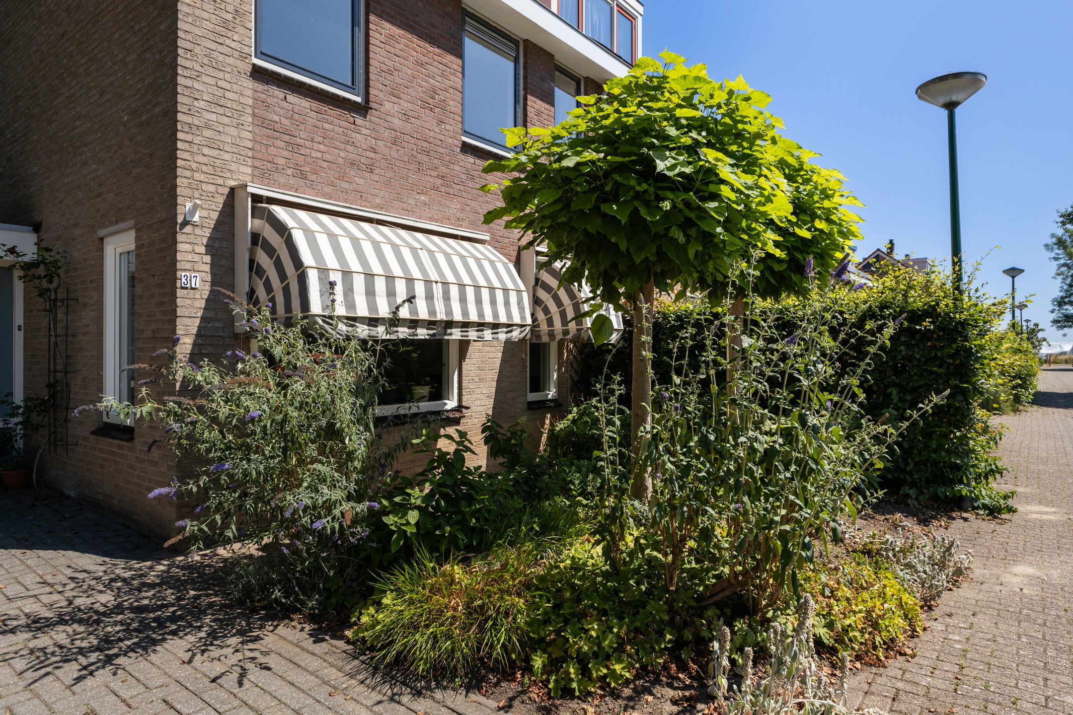 Foto 9 van Nachtegaal 37