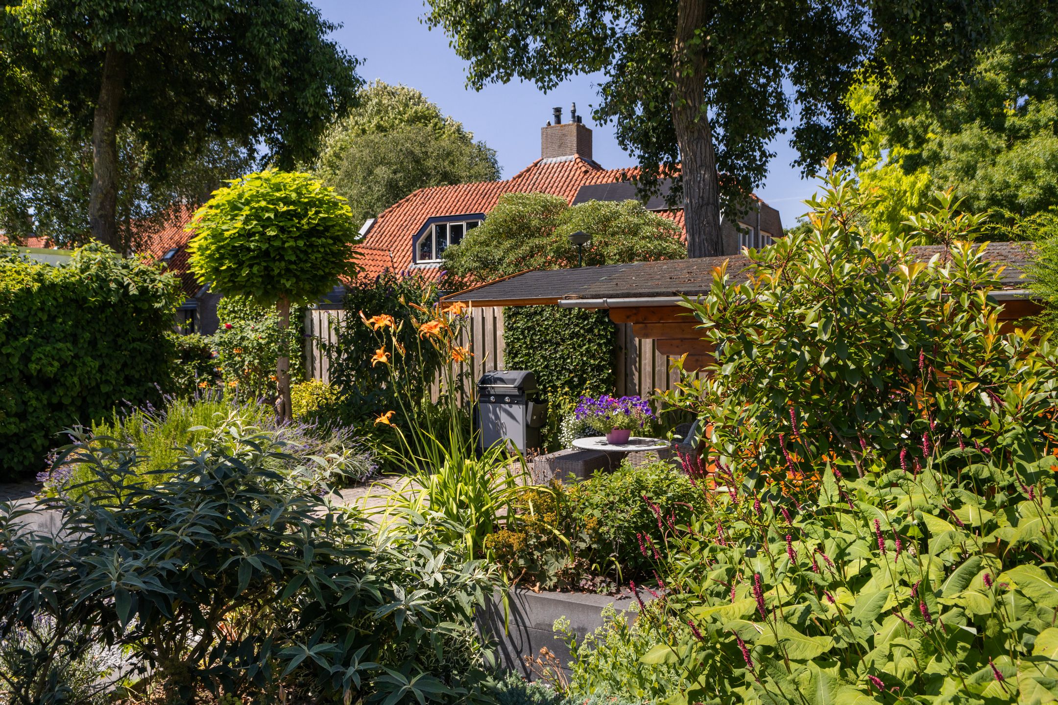 Foto 42 van Nachtegaal 37