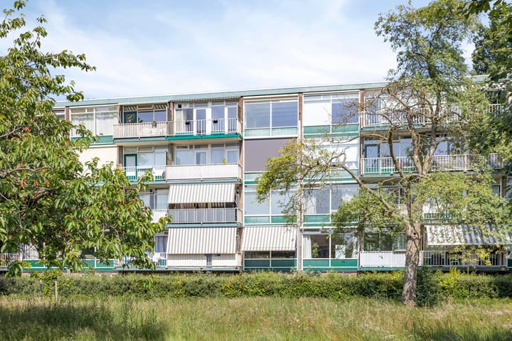 Foto 19 van Van Houtenstraat 60