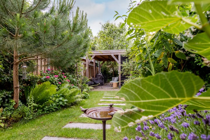 Foto 8 van Zuidkade 218