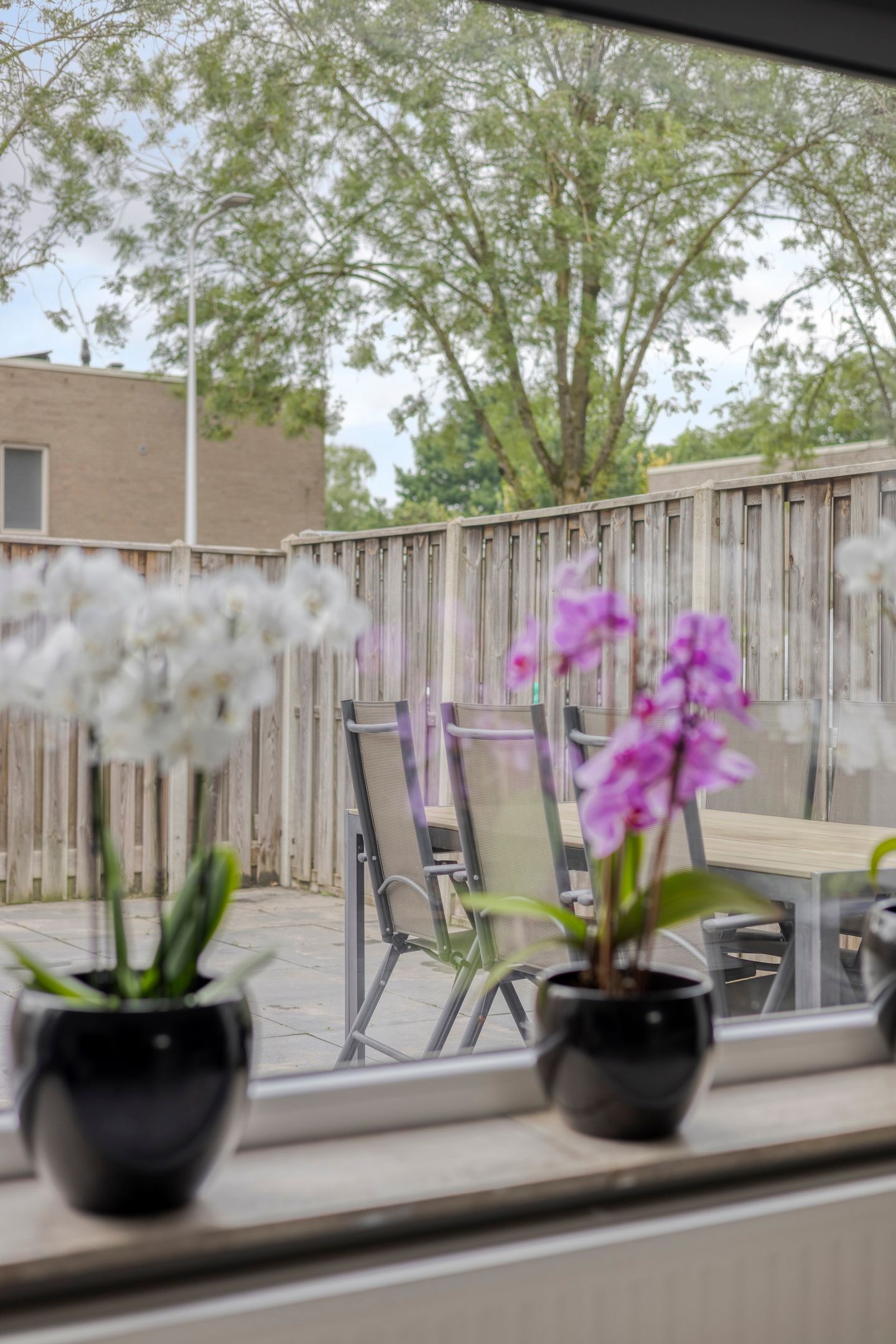 Foto 14 van Grovestins 11