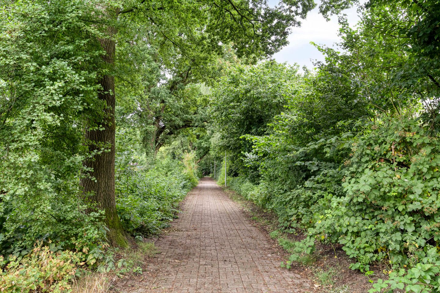 Foto 40 van Grovestins 11