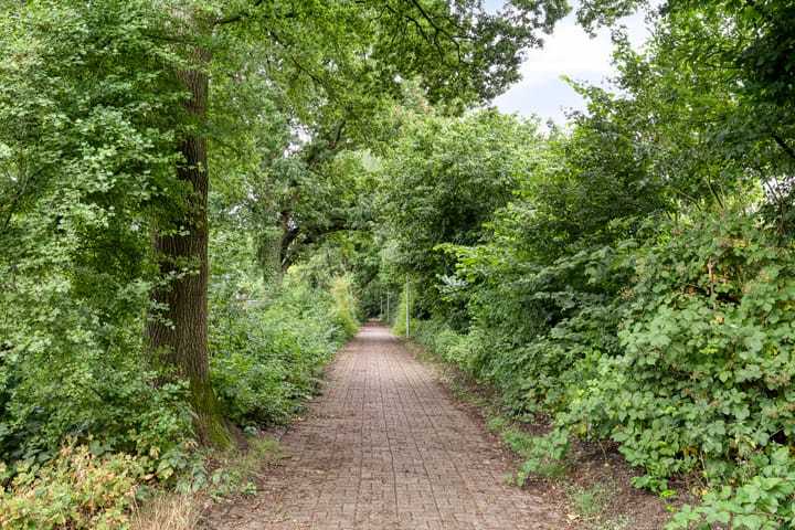 Foto 40 van Grovestins 11