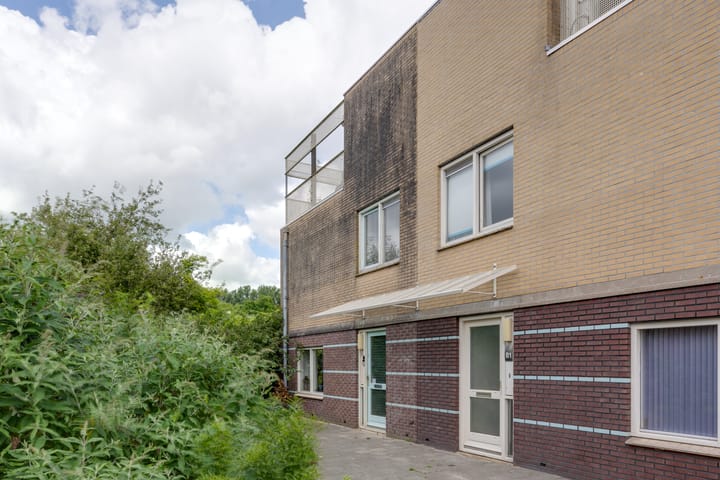 undefined main image
