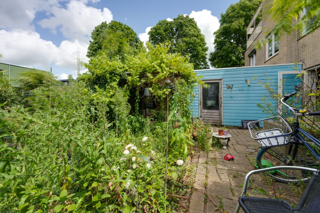 Foto 17 van Dwergvinvisstraat 79