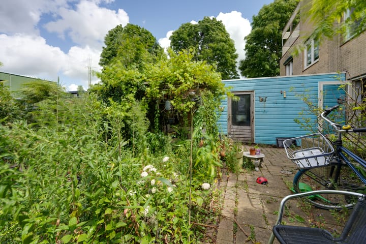 Foto 17 van Dwergvinvisstraat 79