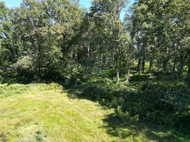 Photo 11 of Waterlaat Perceel 1