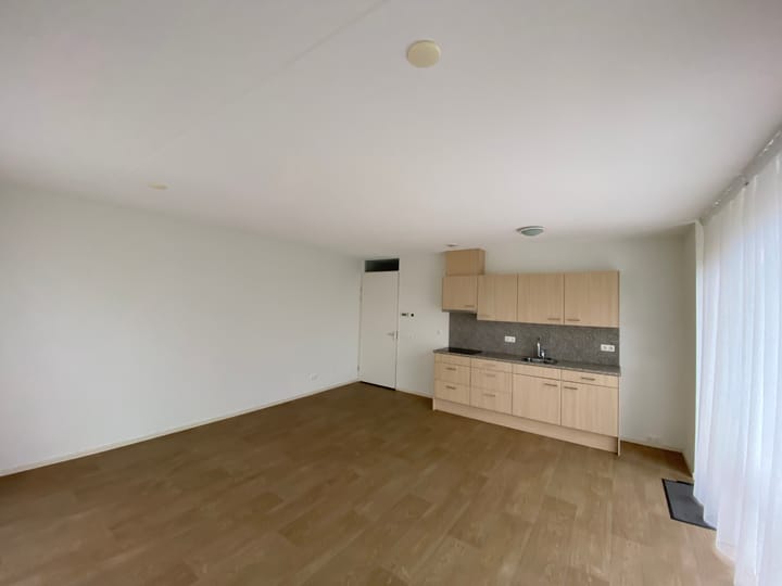 Foto 3 van Tamarixplantsoen 349