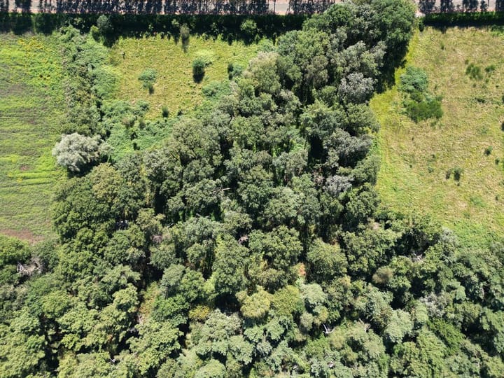 Photo 9 of Waterlaat Perceel 2