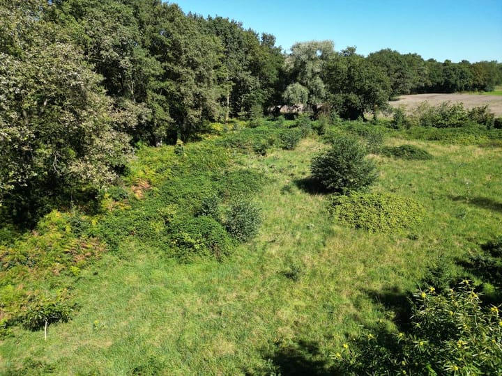 Photo 14 of Waterlaat Perceel 2