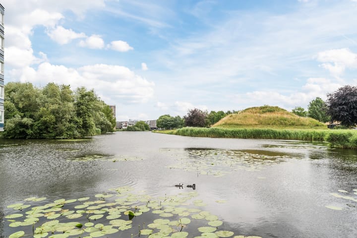 Foto 37 van Regenboog 82