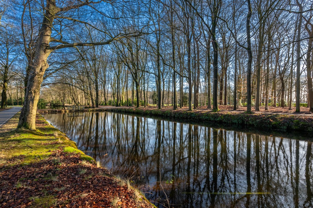 Foto 41 van Molen-Allee 36