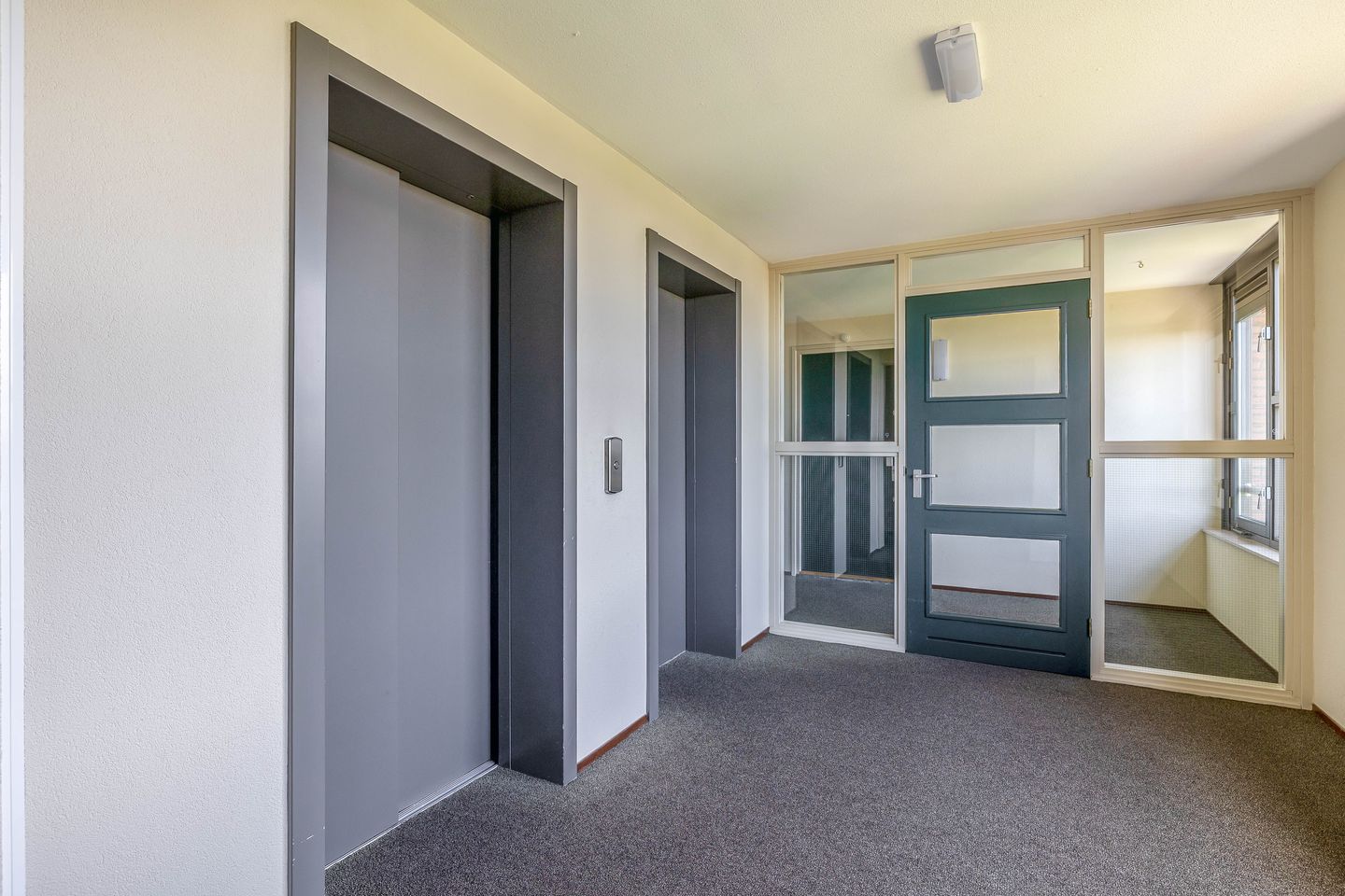 Foto 14 van Ketensezoom 46