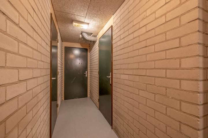 Foto 63 van Ketensezoom 46