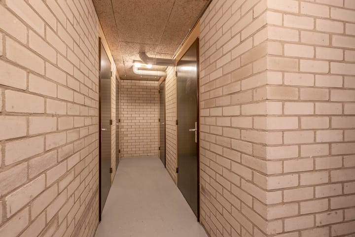 Foto 64 van Ketensezoom 46