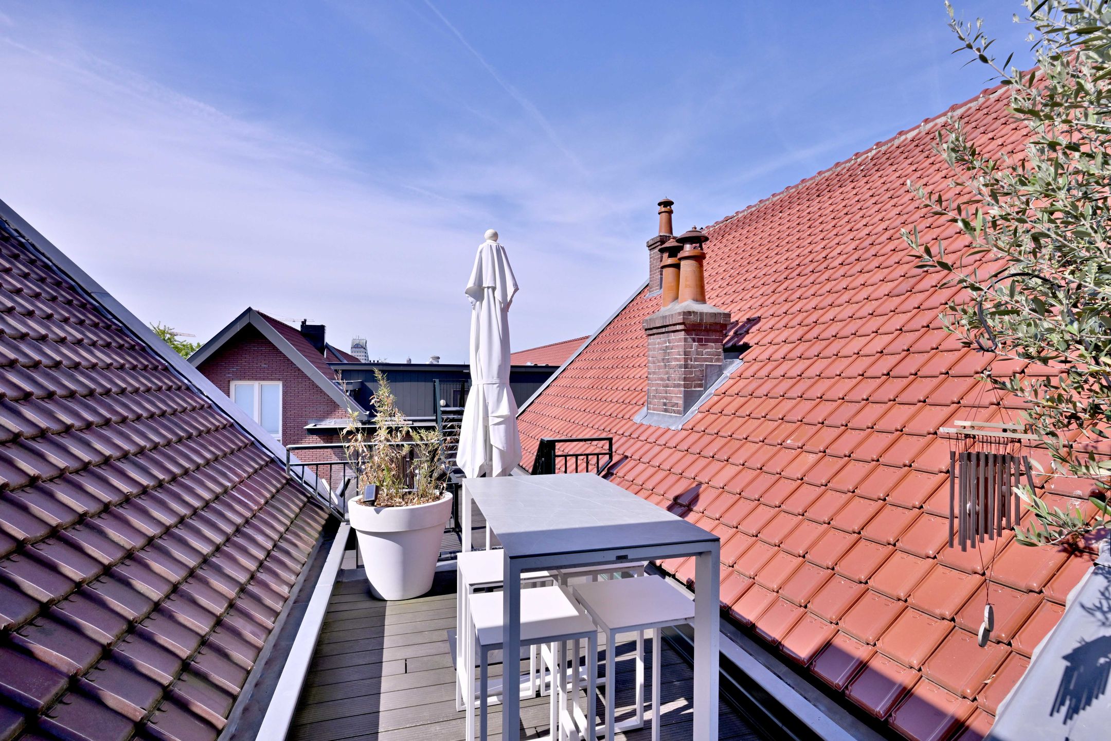 Foto 42 van Larenstein 101