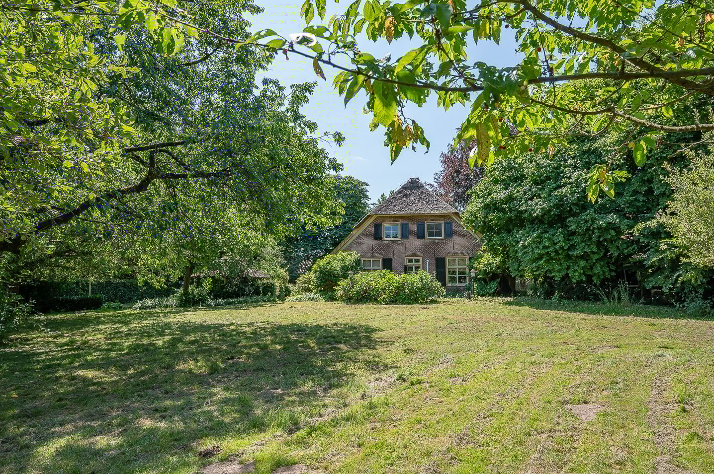 Davisweg 1 main image