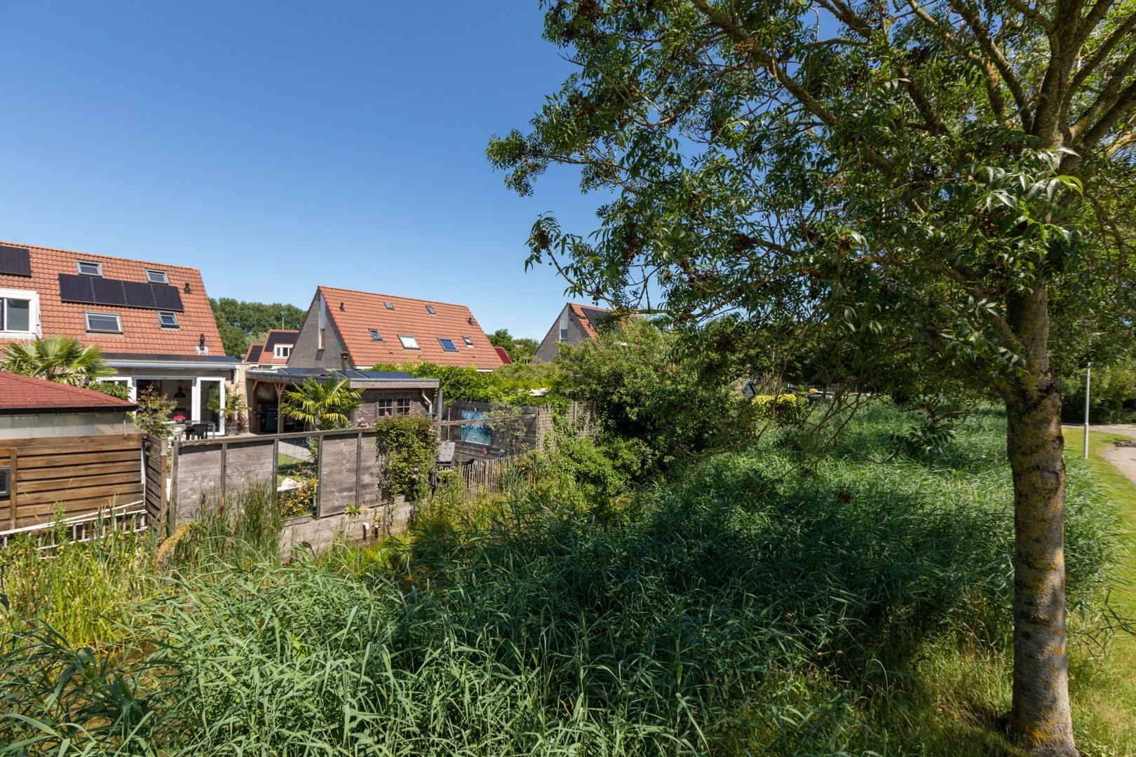 Foto 42 van Zonnedauw 24