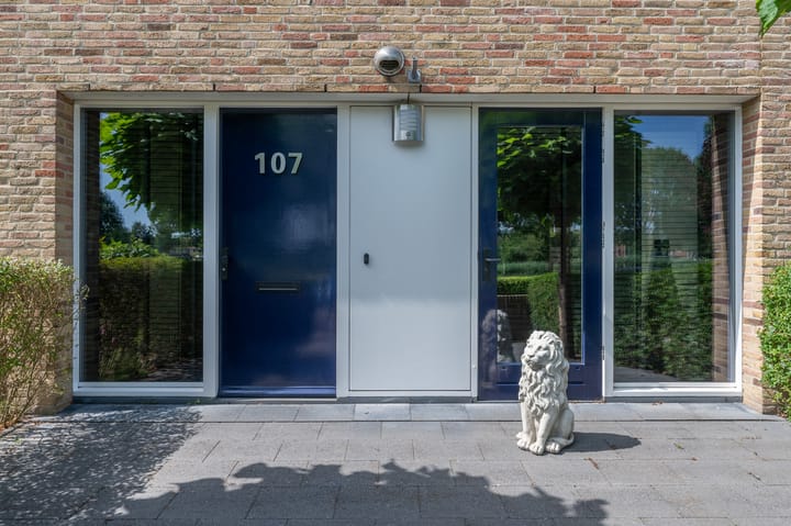 Foto 43 van Koolzaadlaan 107