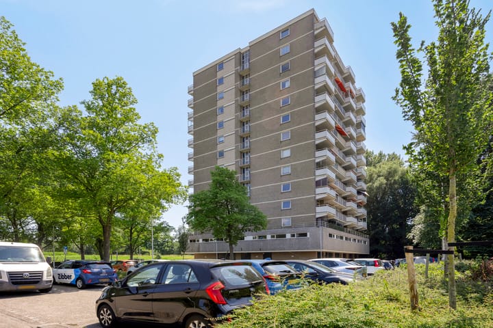 Johan Willem Frisostraat 131