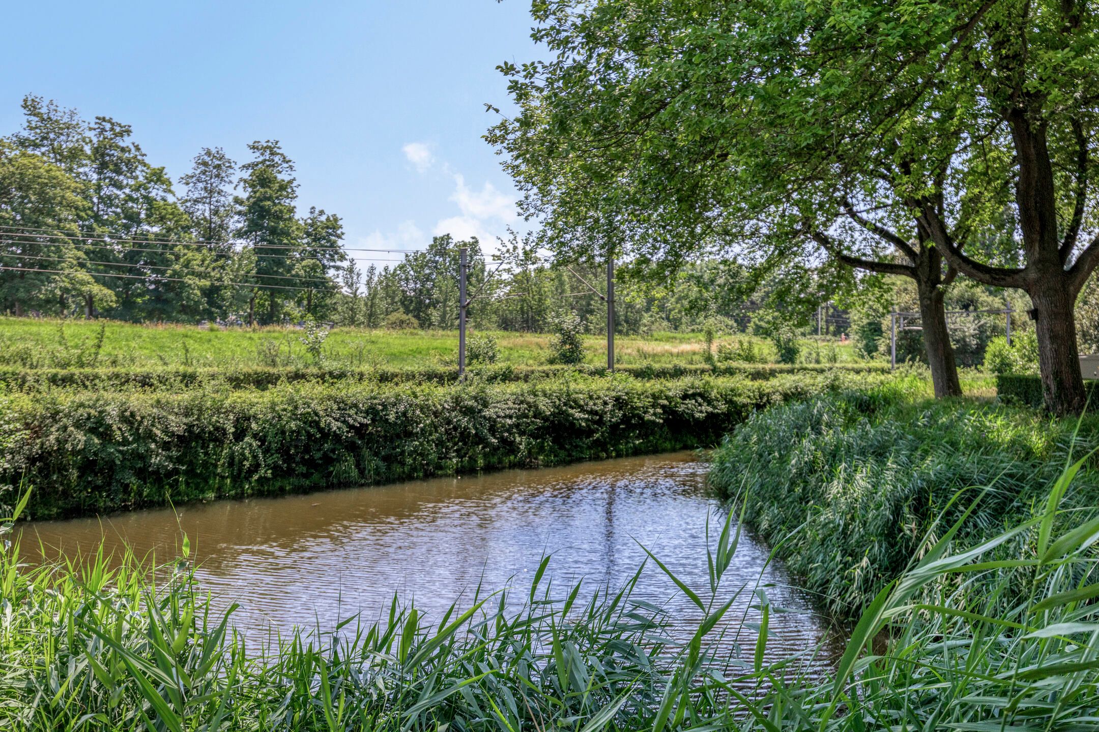 Foto 45 van Johan Willem Frisostraat 131