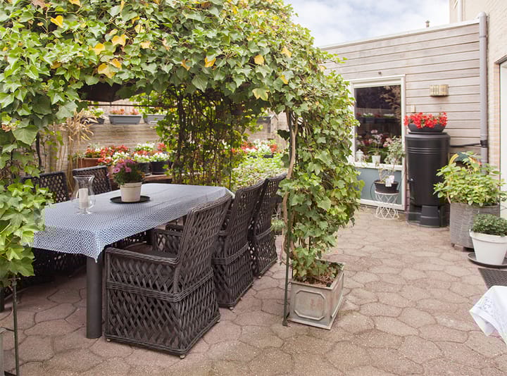 Foto 3 van Molenwiek 34