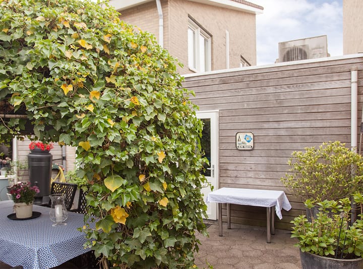 Foto 20 van Molenwiek 34