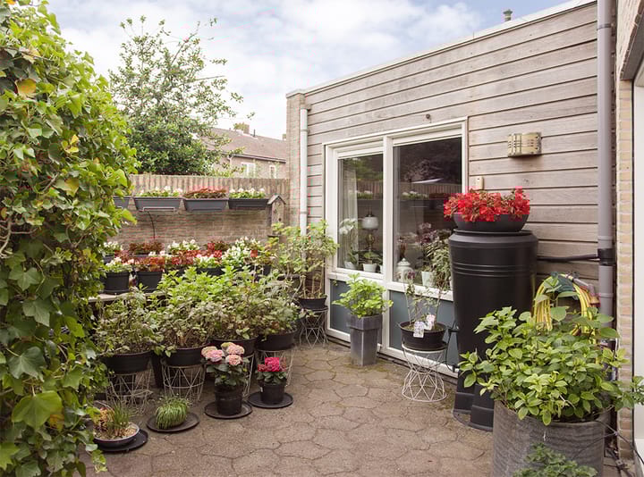 Foto 36 van Molenwiek 34