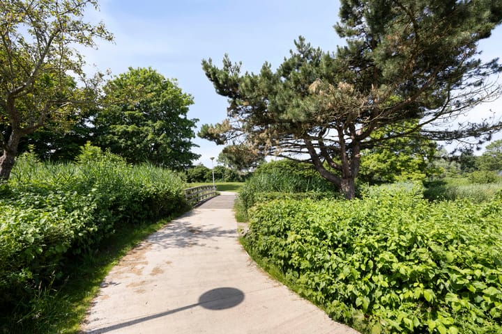 Foto 40 van De Populieren 5