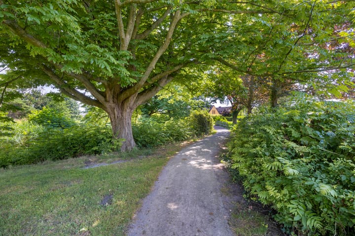 Foto 41 van De Populieren 5