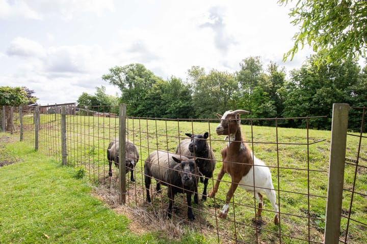 Photo 47 of Oosteinderweg 438