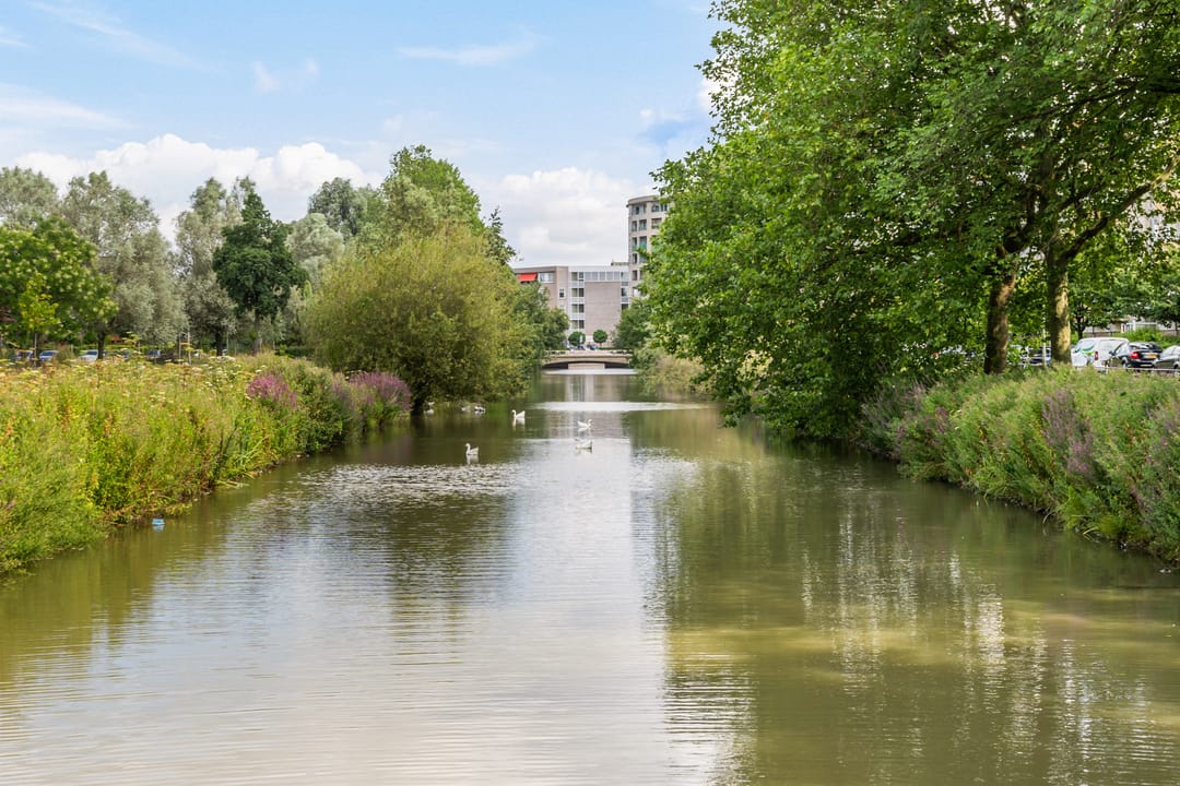 Foto 61 van Julianaweg 266