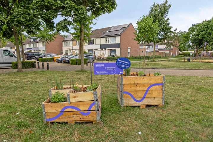 Foto 53 van Robijn 15