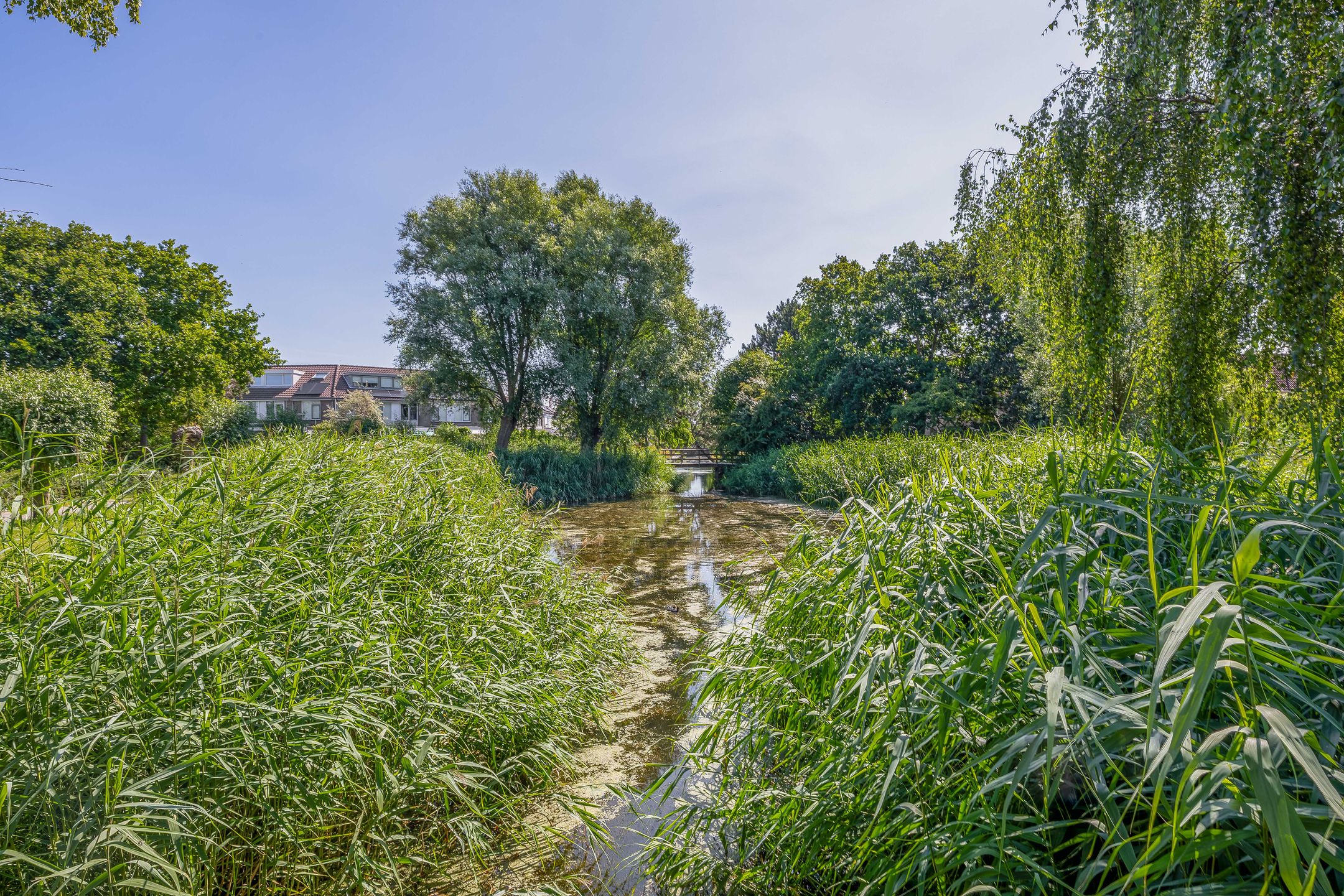 Photo 45 of Hoogtij 163