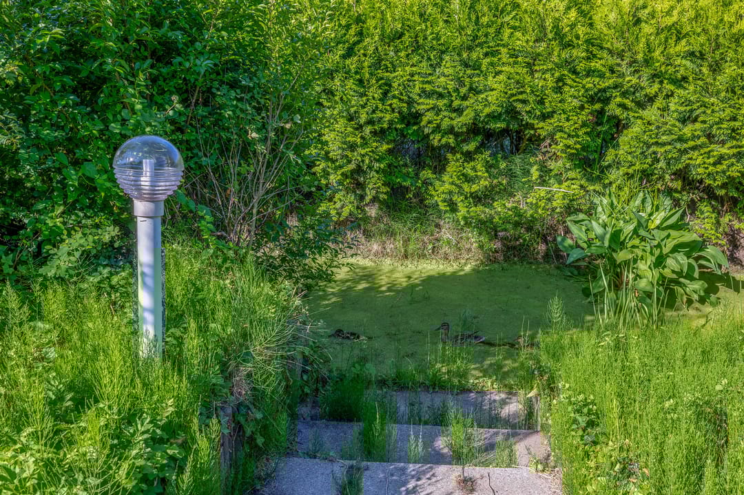 Photo 47 of Hoogtij 163