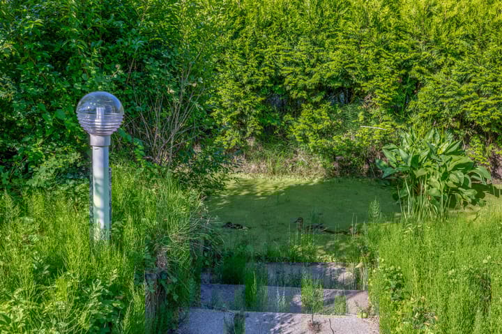 Foto 47 van Hoogtij 163