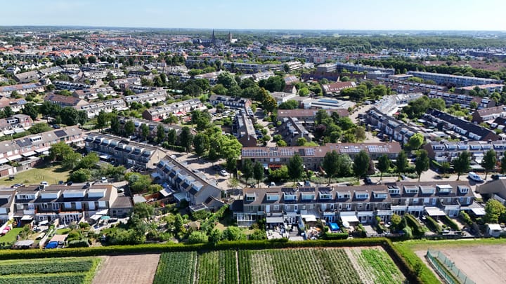 Foto 49 van Hoogtij 163