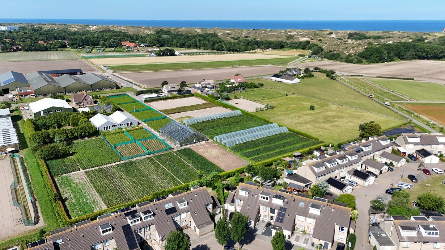 Photo 50 of Hoogtij 163