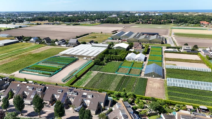 Foto 51 van Hoogtij 163