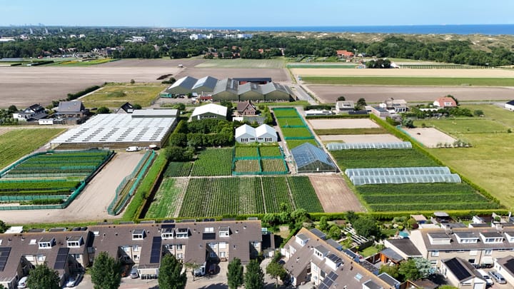 Foto 52 van Hoogtij 163