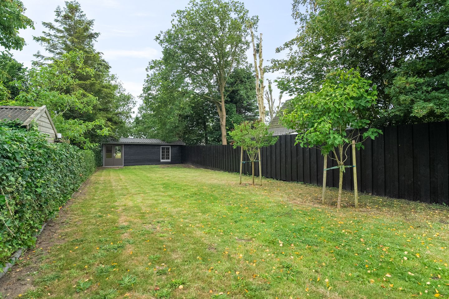 Foto 4 van Elft 59