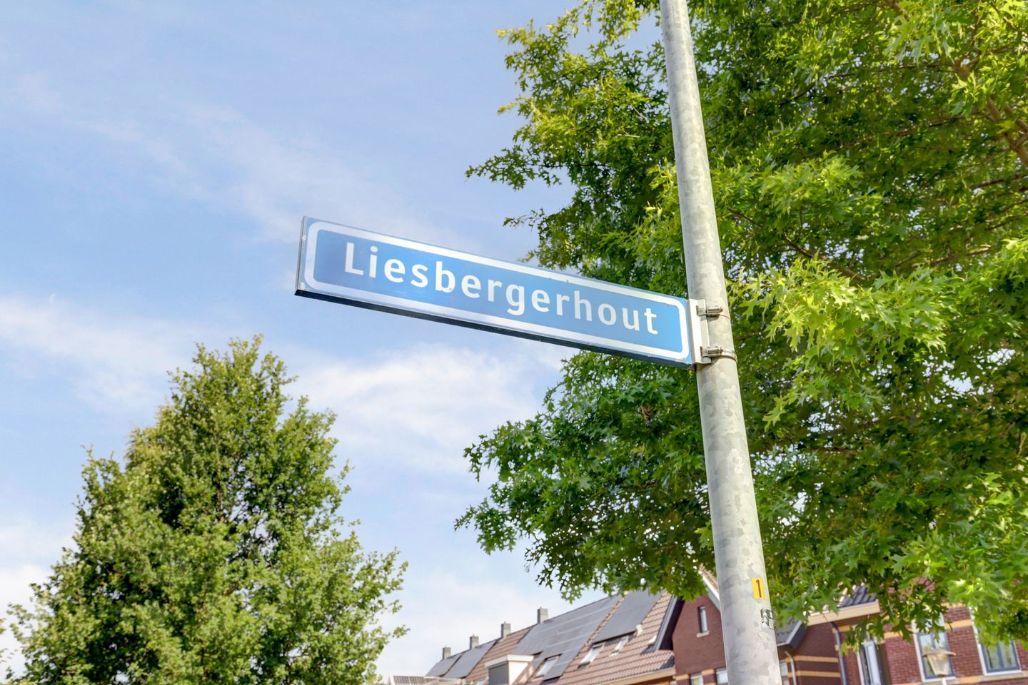 Foto 5 van Liesbergerhout 1